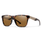 Lowdown Steel, Dark Tort + ChromaPop Polarized Brown Lens, hi-res