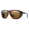 Embark, Matte Tortoise + ChromaPop Glass Polarized Brown Lens, hi-res